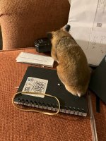 IMG_2587 jpeg.jpeg