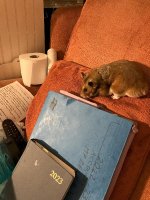 IMG_2592 jpeg.jpeg