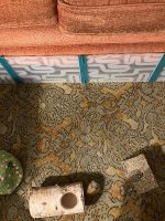 IMG_2597 jpeg.jpeg