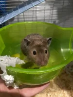 IMG_4146.webp IMG_4146.webp