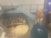 IMG_6107.webp IMG_6107.webp