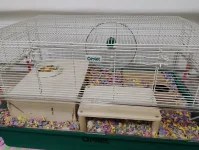 IMG_20250127_205755956_AE.webp