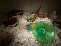 IMG_7177.jpg IMG_7177.jpg