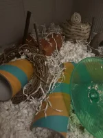 IMG_7174.JPG IMG_7174.JPG