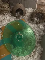 IMG_7176.JPG IMG_7176.JPG