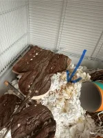 IMG_7212.jpg IMG_7212.jpg