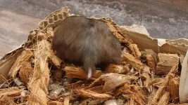 20250111_152815 Stash butt.webp