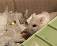 IMG_3874.jpeg
