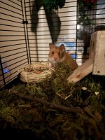 IMG_1063.jpeg