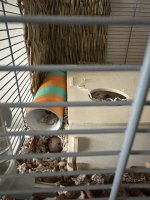 IMG_7445.JPG