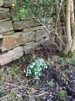 IMG_2717.jpeg