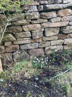 IMG_2718.jpeg