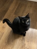 IMG_3617.jpeg