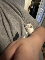 IMG_4170.jpeg
