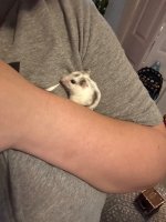 IMG_4154.jpeg