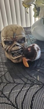Lemmy and Eddie.jpg