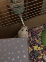 IMG_3939.jpeg