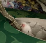 IMG_3935.jpeg