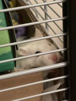 IMG_3933.jpeg