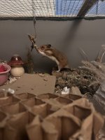 IMG_5618.jpeg