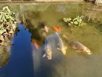 20250303_123828.webp