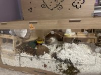 IMG_5079.jpeg