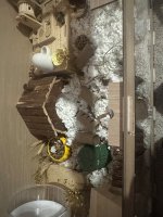 IMG_5132.jpeg