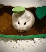 IMG_5136.jpeg