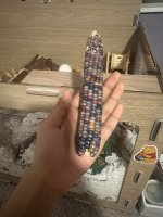 IMG_5150.jpeg