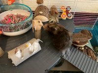 IMG_7962.jpeg