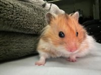 IMG_0721.jpeg