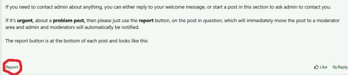 Report button.jpg