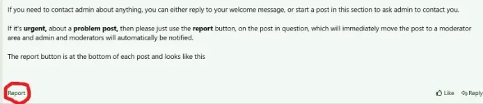 Report button.jpg
