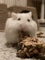 IMG_4384.webp IMG_4384.webp