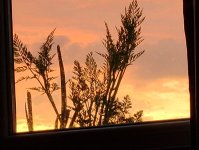 IMG_20250512_050837784.jpg