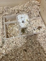 IMG_5162.jpeg