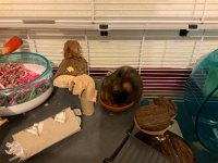 IMG_7814.jpeg