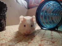 P5092439.webp P5092439.webp