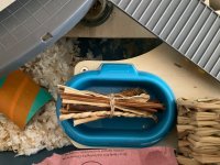IMG_8063.jpeg