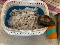 IMG_8066.jpeg