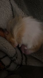 IMG_3898.jpeg