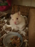 20250526_220528.jpg 20250526_220528.jpg