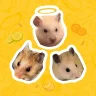 millet_maniac