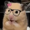 Dforhammies