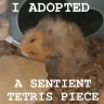 aFunnyThingHappened