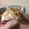 Penny’sWorld