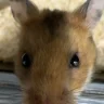 peejar