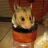 Hamlet Hamster